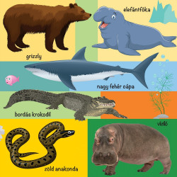 Napraforgó 101 színes kép a vadon élő állatokról