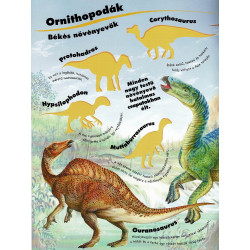 Napraforgó Mozgalmas matricásfüzet - Dinoszauruszok